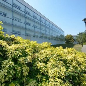 Carré site immeuble