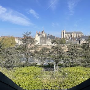 IMG_E4964