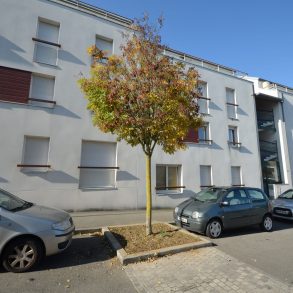 Immeuble avec arbre carré site