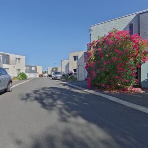 Rue