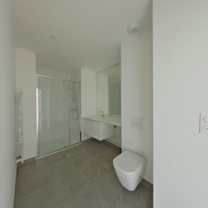 Salle D’eau + wc