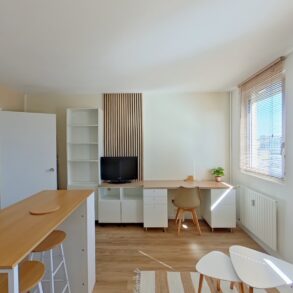 Salon (6)