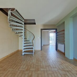 Salon (7)