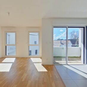 Salon2