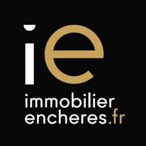 logo noir